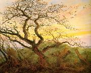 Caspar David Friedrich The Tree of Crows Spain oil painting artist
